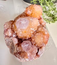 Image 2 of SPIRIT QUARTZ CLUSTER 