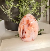 Image 3 of CARNELIAN AND FLOWER AGATE TEAR DROP 