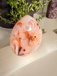 Image 5 of CARNELIAN AND FLOWER AGATE TEAR DROP 