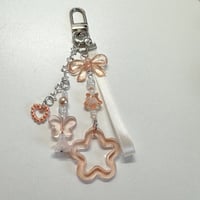 Image 3 of keychains / bag charms