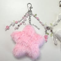 Image 4 of matching stars keychains