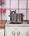 Not for Dinner 