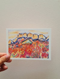 Image 5 of LOT DE 4 CARTES POSTALES - PAYSAGES