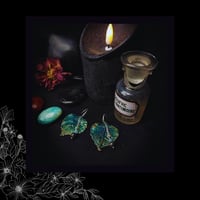 Image 3 of ☽ Populus Hibernum ☾