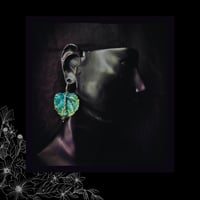 Image 4 of ☽ Populus Hibernum ☾