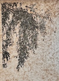 Image 2 of Title t.b.c