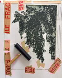 Image 3 of Title t.b.c