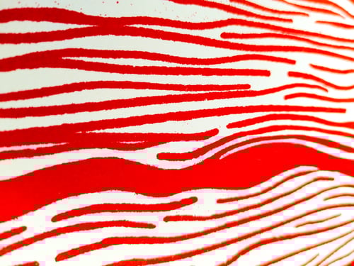 Image of THE WIND - DONATION FOR PALESTINE