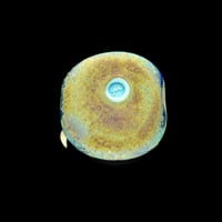 Image 2 of LG. Young Happy Panda - Flamework Glass Sculpture Bead