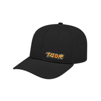 Casquette a Palette Courbé (P.O.D)