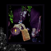 Image 2 of 🜧 Ginkgo Boreal 🜧