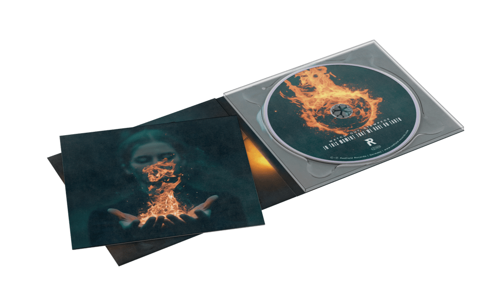 Image of IN THIS MOMENT THAT WE HAVE ON EARTH (CD)