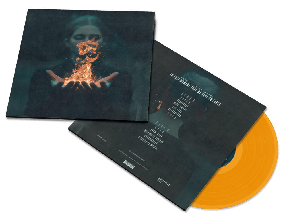Image of IN THIS MOMENT THAT WE HAVE ON EARTH (VINYL)