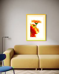 Image 3 of NO DAISY NO BACKGROUND (36X24)