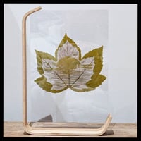 Image 3 of Godrevy Lighthouse Etched Sycamore Leaf