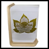 Image 2 of Godrevy Lighthouse Etched Sycamore Leaf