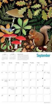 Image 3 of Bex Parkin: Wildlife Wall Calendar 2026