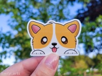 Corgi Peeker Sticker