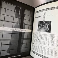 Image 6 of GEMINI Movie Booklet
