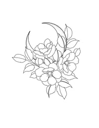 Image 2 of moon bouquet