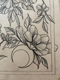 Image 1 of magnolia moon
