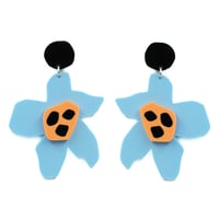 Image 1 of PARDERA CELESTE