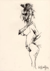Image 2 of Plumage - Charcoal on Paper 