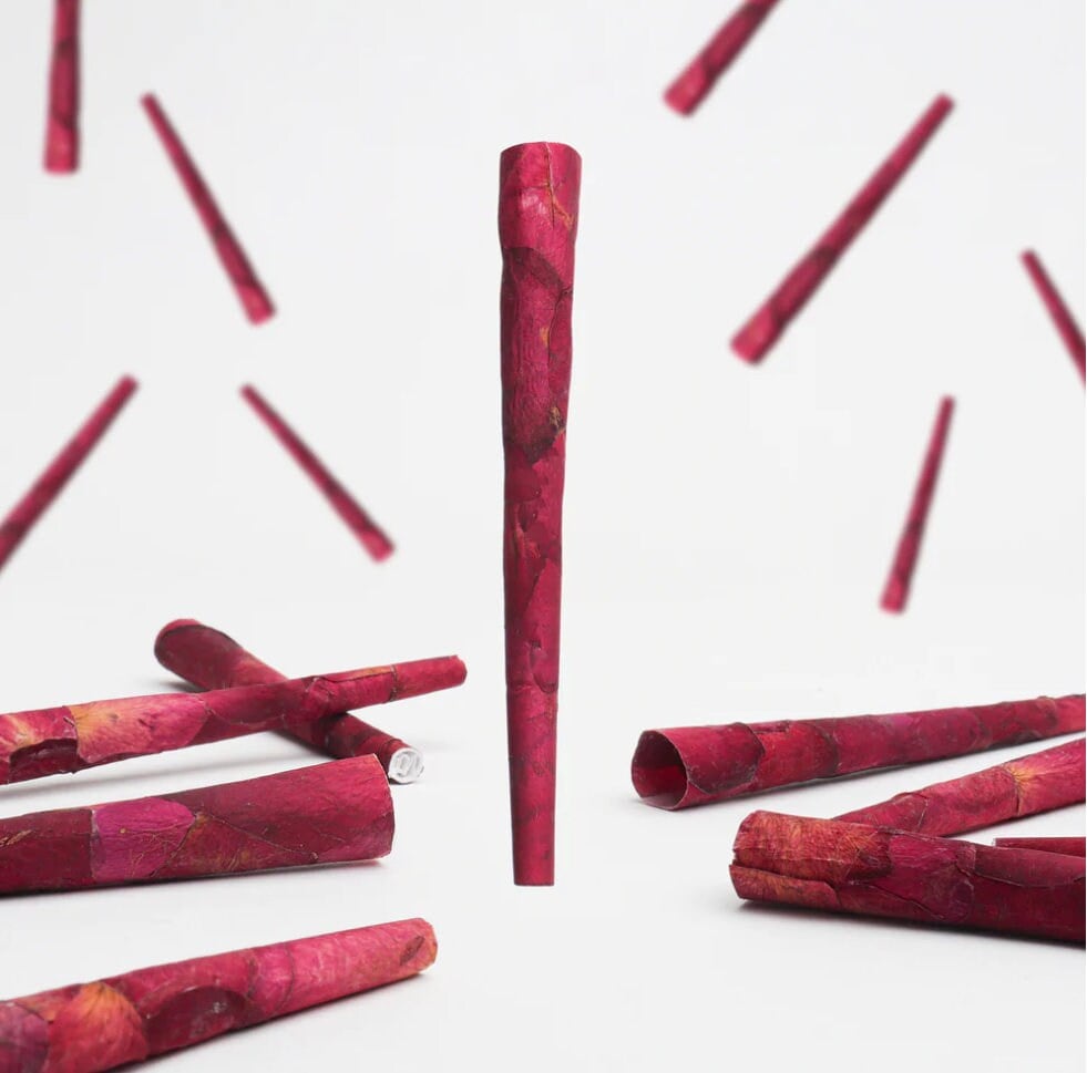 Image of Natural Rose Petal Cones – Decorative Floral Tubes (Empty, Unflavored- Gift Ideas