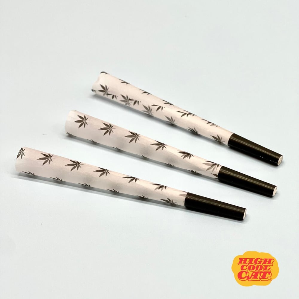 Image of Rainbow Paper Cones – Decorative Tubes for Party or Gift Use (Empty)-633209f1