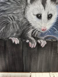 Image 3 of Frank the Opossum | Original 8x10 Oil