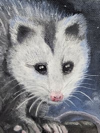 Image 4 of Frank the Opossum | Original 8x10 Oil