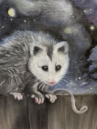 Image 8 of Frank the Opossum | Original 8x10 Oil