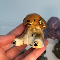Image 6 of Little Beans