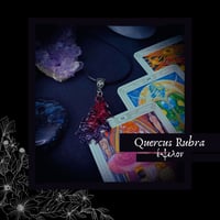 Image 4 of ☽ Quercus Rubra ☾