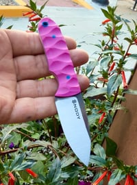 Image 2 of Bubble Gum & Royal Blue Bail Out