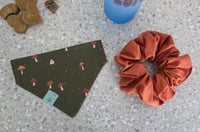 Image 1 of gemma spring market reversible set
