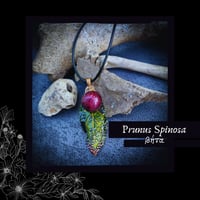 Image 1 of ☽ Prunus Spinosa ☾