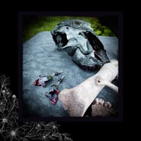 Image 2 of ☽ Digitalis Boreal ☾