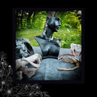 Image 3 of ☽ Digitalis Boreal ☾