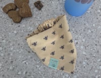 Image 2 of miel spring market bandana