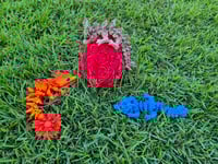 Image 1 of Mini Dragon & Egg