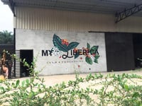Image 2 of Malaysia - MY Liberica - Anaerobic Natural Liberica - Ultra Rare