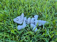 Image 5 of Wolf Pup
