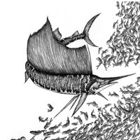 Image 2 of CHASSE AU LARGE - 30 x 40 cm