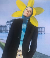 Image 1 of PALACE PIER - Framed Print