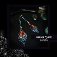 Image 1 of ☽ Ulmus Borealis ☾