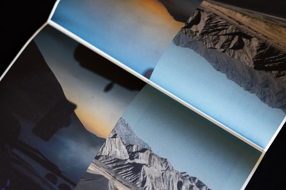 Image of Skin Fields Pre-Sale Poster 