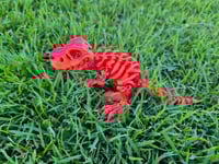 Image 6 of Medium Skeleton T-rex