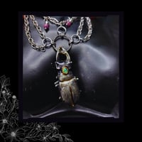 Image 4 of ☽ Lucanus Opallion ☾