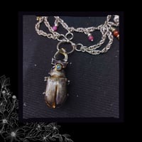Image 5 of ☽ Lucanus Opallion ☾